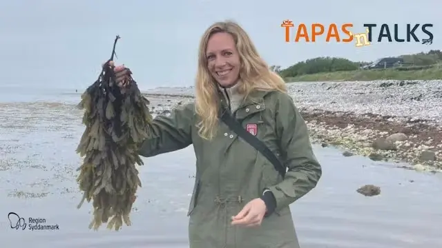 TAPAS'n'TALKS: Smag på havet