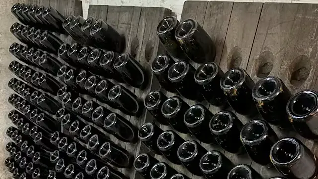 Sprudlende smagning med champagne og bobler