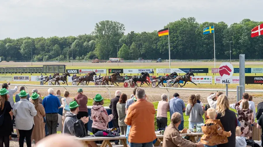 Autumn Racing