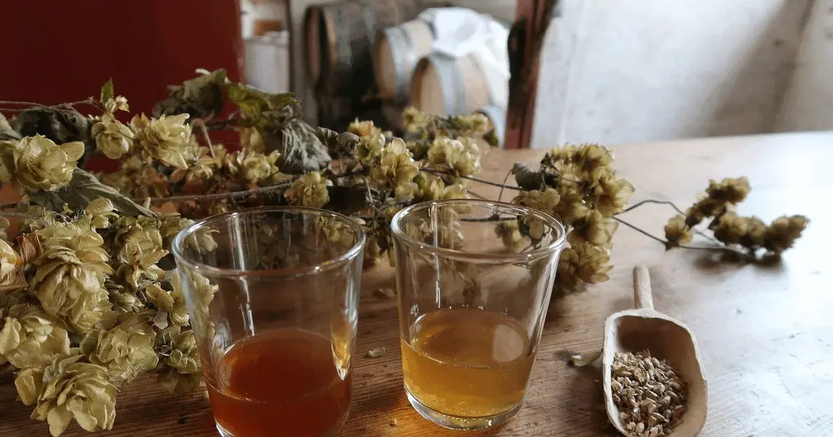 Home-Brewed Beer