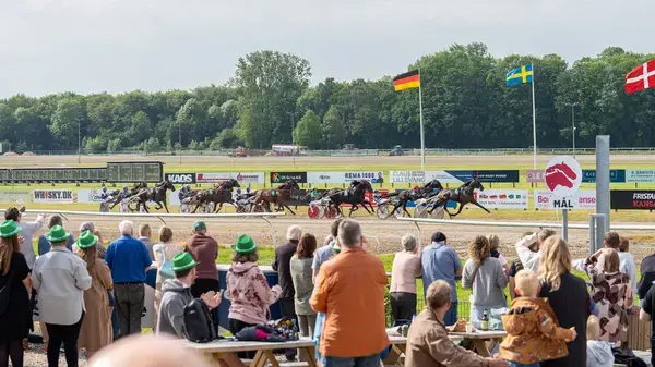 Autumn Racing
