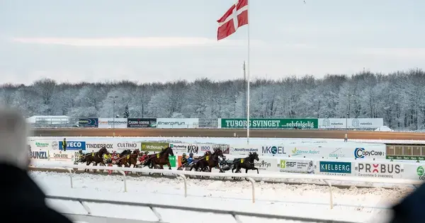 Sæsonfinale 2026