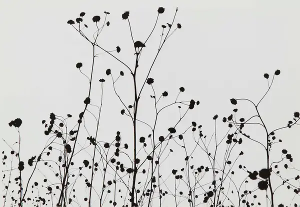 Udstilling // Keld Helmer-Petersen