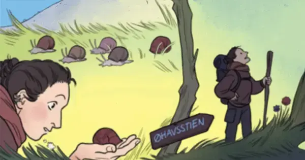 Udstilling: Øhavsstien til den rolige hjerne