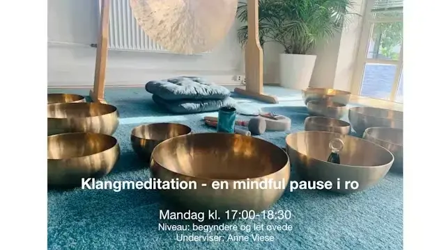 Odense: Find din indre oase med klangbad v/ Anne Viese - mandag d. 30. november kl. 17:00-18:30