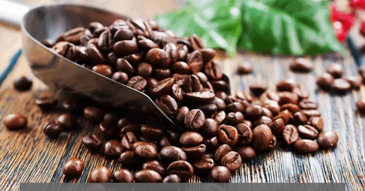 Livestreaming fra AU: Kaffe