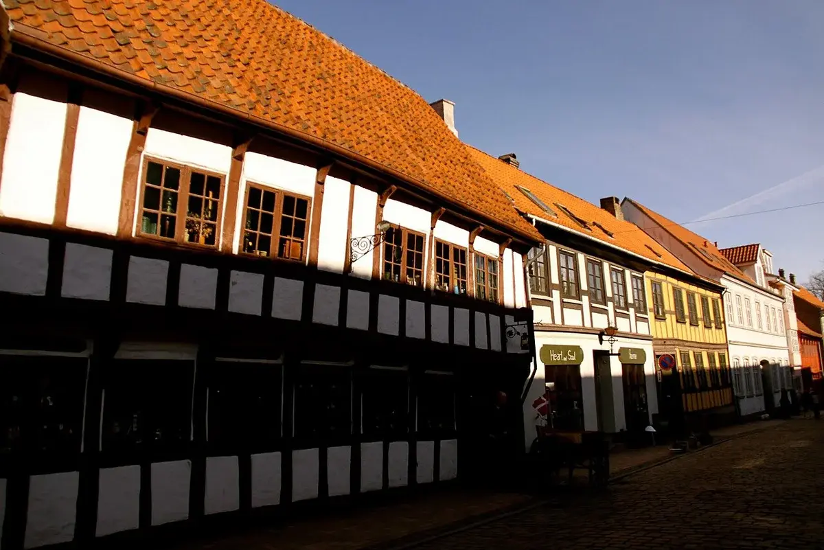 Historic half-timbered buildings on a cobblestone street in Odense, Denmark.